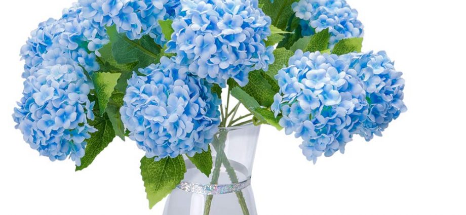 Shipping The Best And Most Beautiful Hydrangea Bouquet Singapore In Singapore