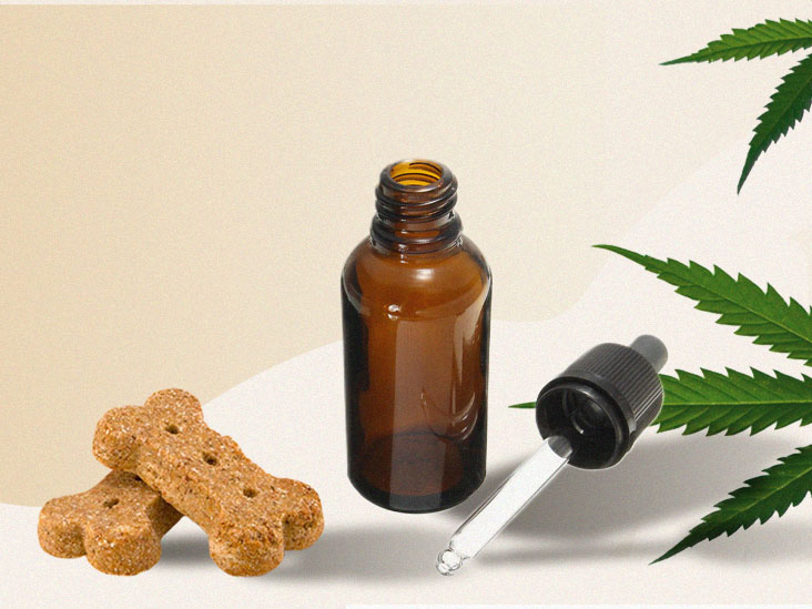 Budpop.com